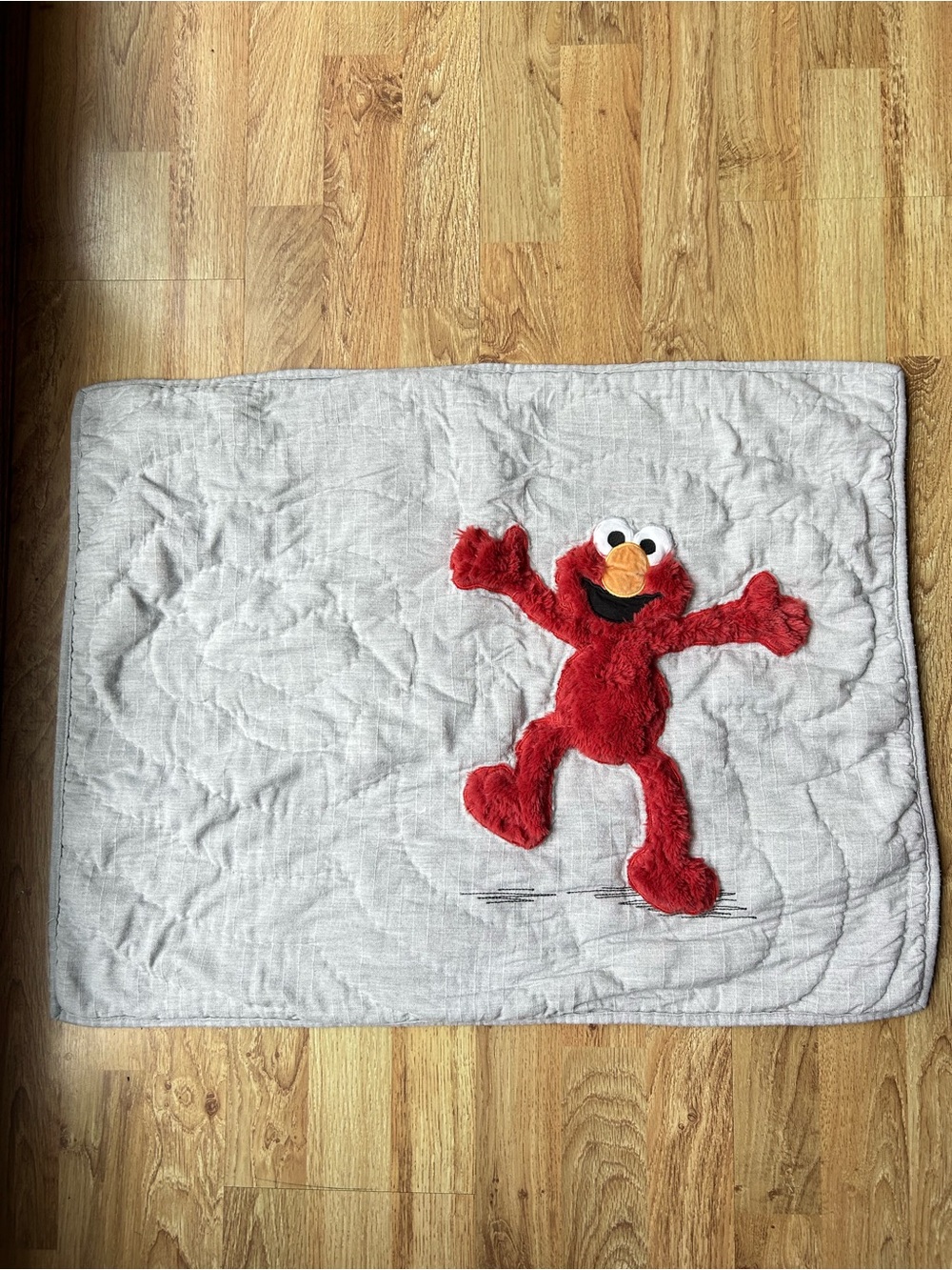 Pottery Barn Kids Sesame Street Elmo Sham